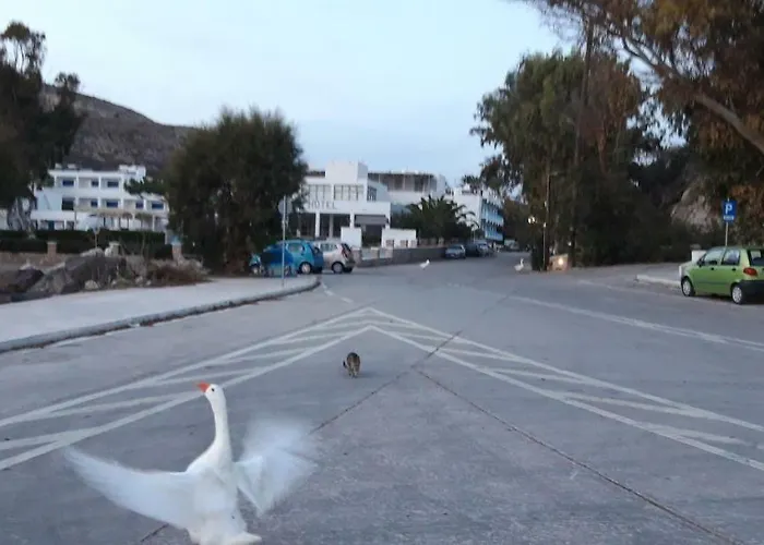 Pensión Katerina Adamantas (Milos)